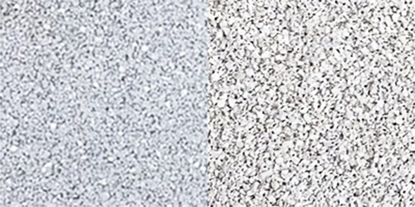 T02