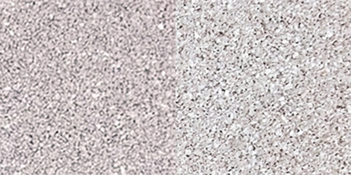 T08